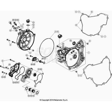CARTER BETA 125 RR 2023