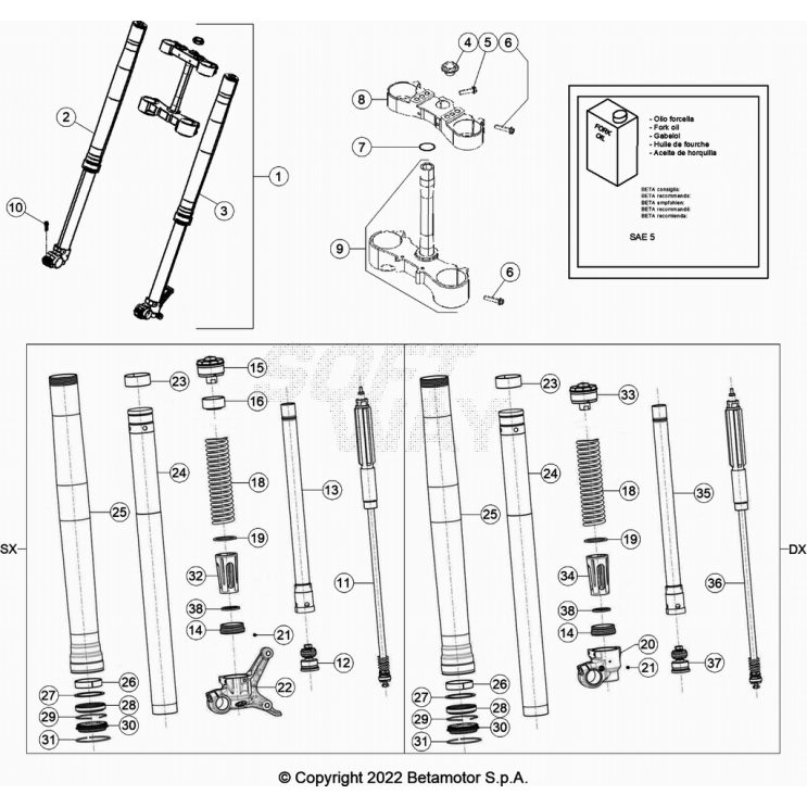 COMMANDES-GUIDON BETA 390 RR 2023