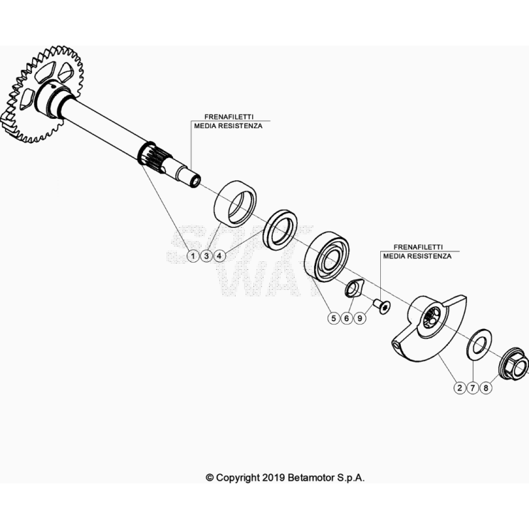 TRANSMISSION PRINCIPALE/EMBRAYAGE BETA 480 RR 2023