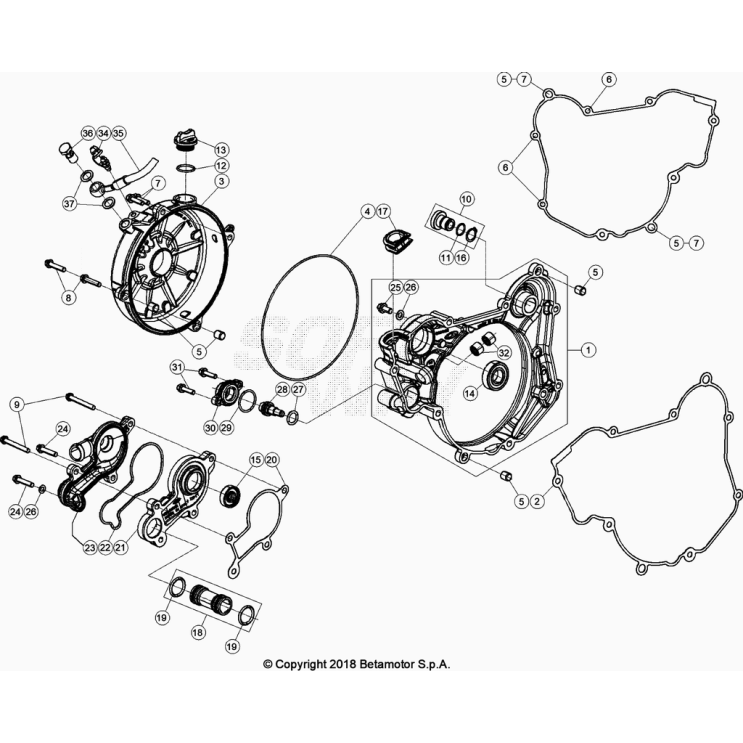 CARTER EMBRAYAGE  BETA 200 RACING 2023