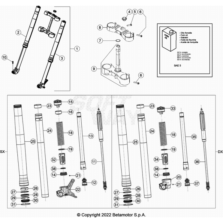 FOURCHE BETA 300 RR 2024