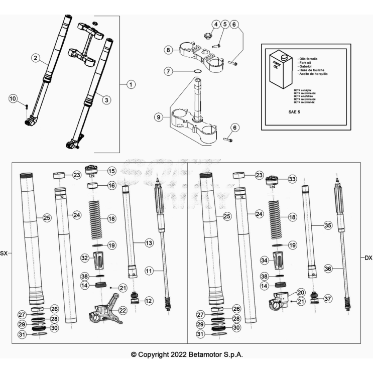 FOURCHE BETA 125 RR 2024