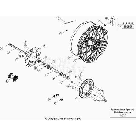 ROUE AR. BETA 250 XTRAINER...