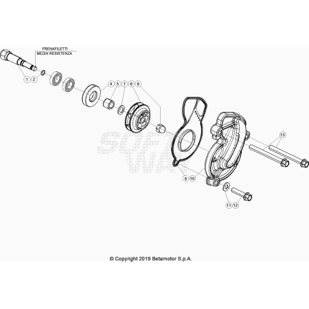 POMPE A EAU BETA 390 RR 2024