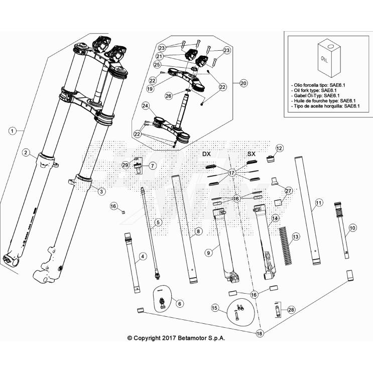 FOURCHE BETA 125 EVO FACTORY 2022