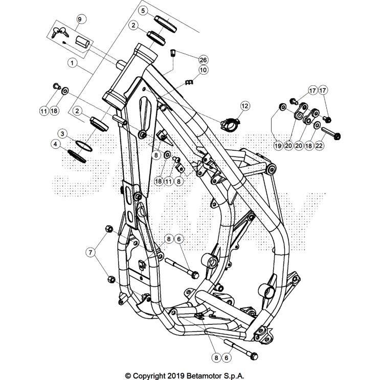 CHASSIS 250 XTRAINER 2025