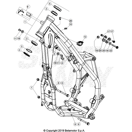 CHASSIS 250 XTRAINER 2025