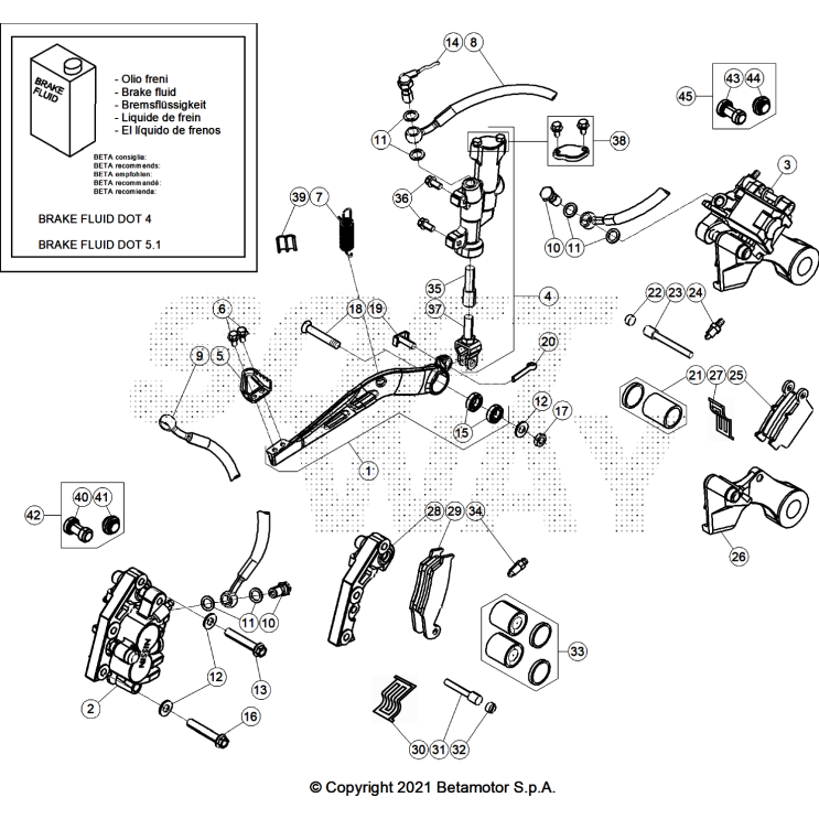 FREINS 250 XTRAINER 2025