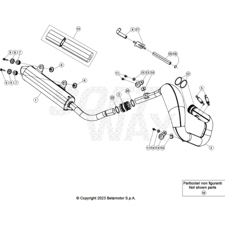 ECHAPPEMENT 250 XTRAINER 2025