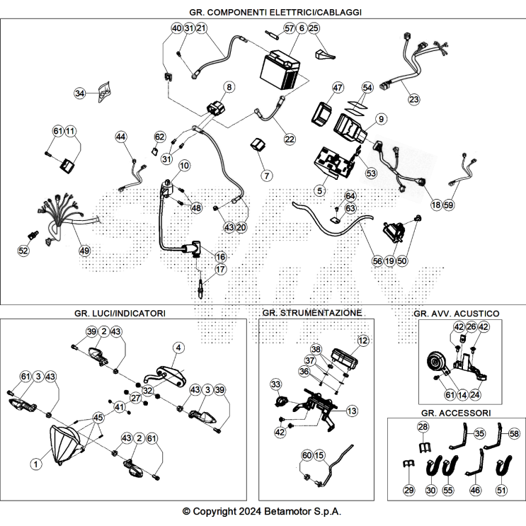 FAISCEAU ÉLECTRIQUE 250 XTRAINER 2025