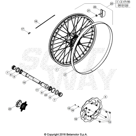ROUE AV. 250 XTRAINER 2025