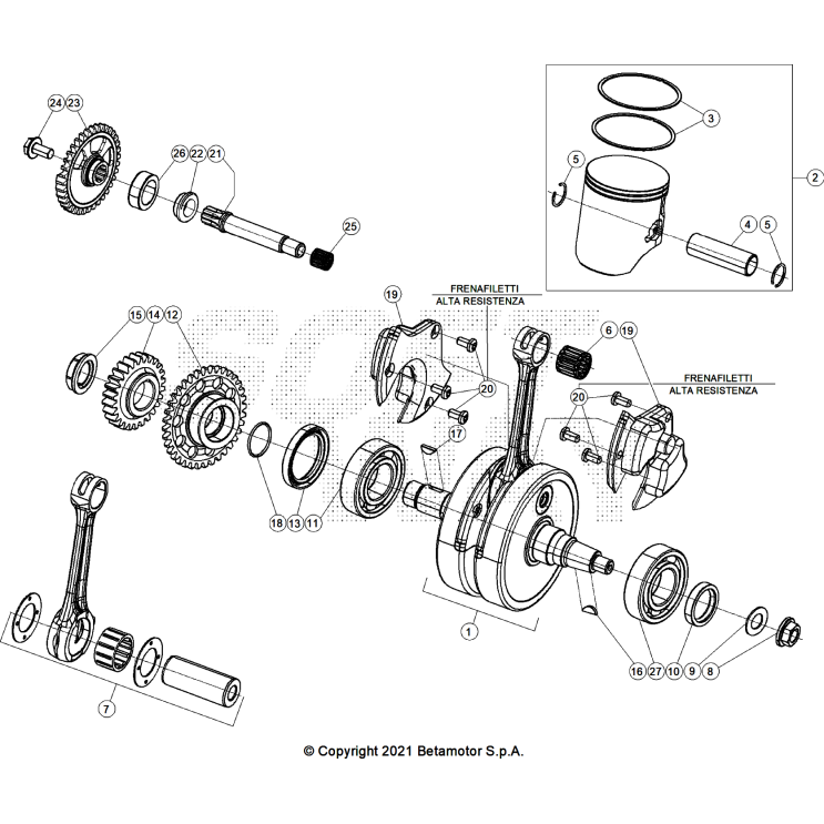 EMBRAYAGE 250 XTRAINER 2025