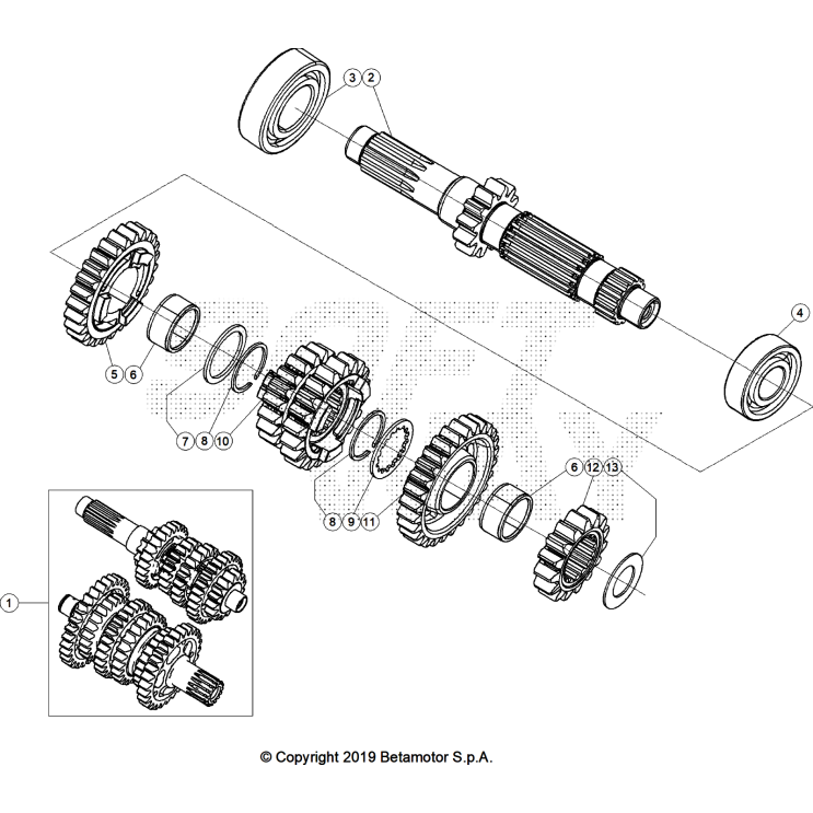 BOÎTE A VITESSES 1 250 XTRAINER 2025