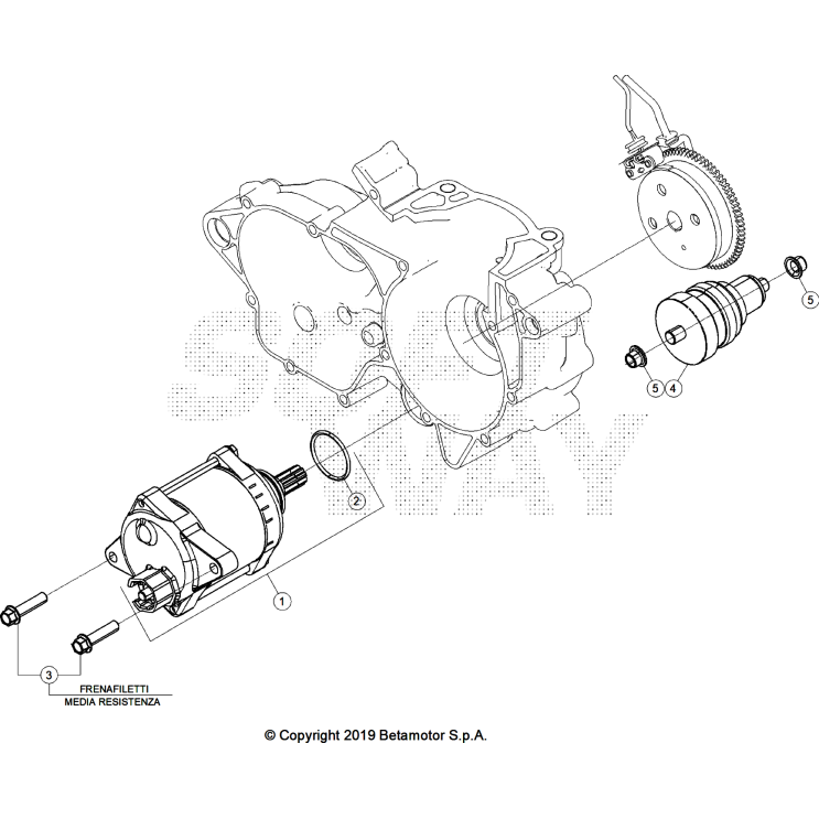 DÉMARRAGE ÉLECTRIQUE 250 XTRAINER 2025