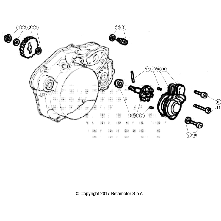 POMPE A EAU MOTARD BLUE RR 50 2T TRACK 2024