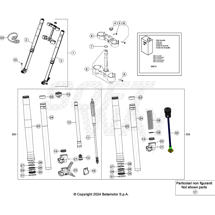 FOURCHE BETA 125 X-PRO 2025