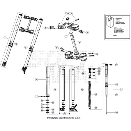 FOURCHE BETA 125 RACE 2025