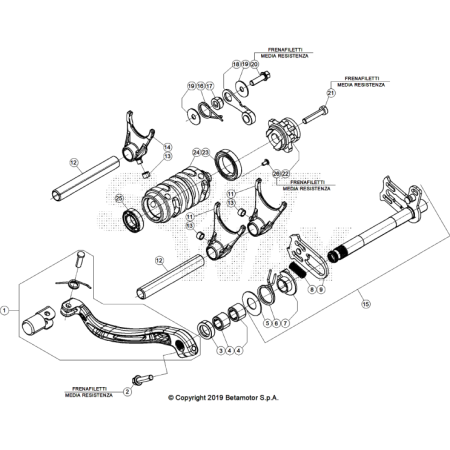 CHASSIS BETA 250 RACE 2025