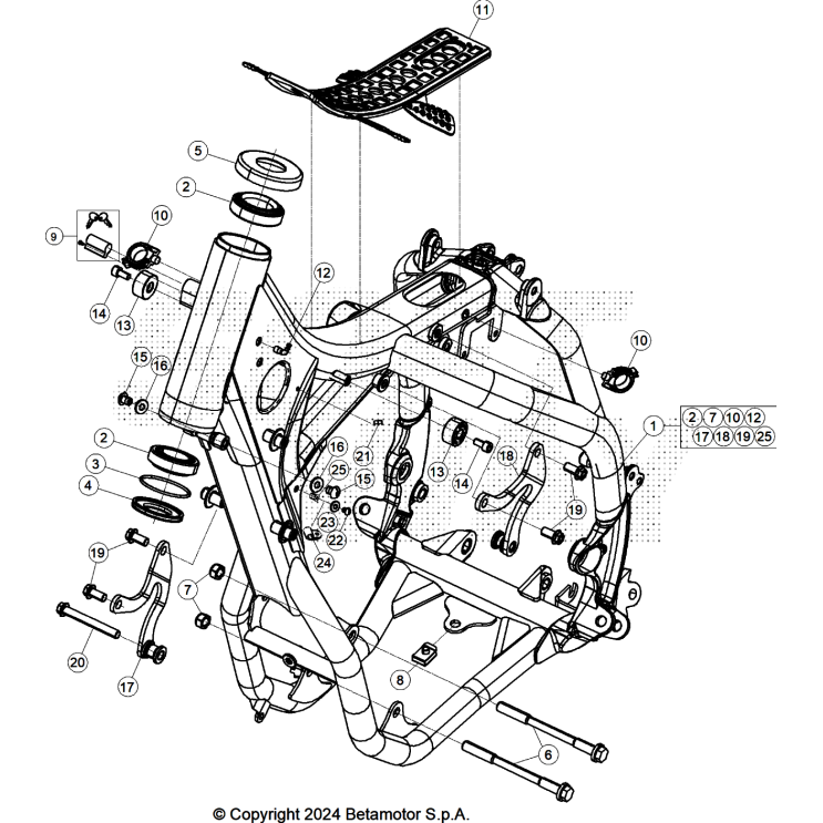 CHASSIS BETA 250 X-PRO 2025