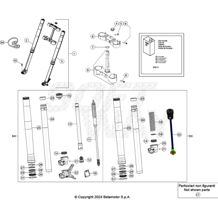 FOURCHE BETA 250 X-PRO 2025