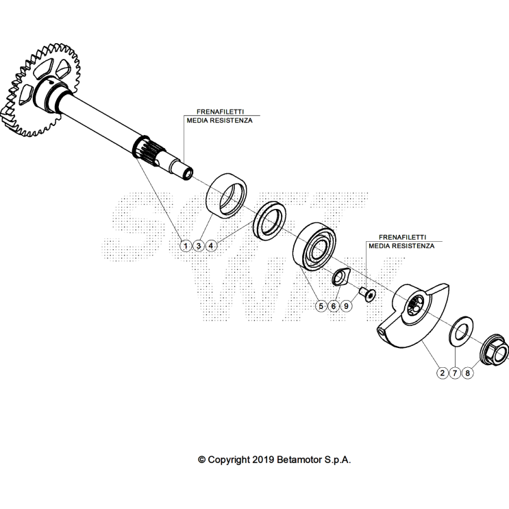 VUE ECLATEE ARBRE D'EQUILIBRAGE BETA 480 RACE 2025
