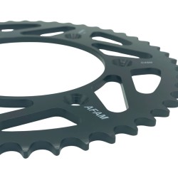 Couronne acier 48 dents AFAM Beta 2T et 4T 