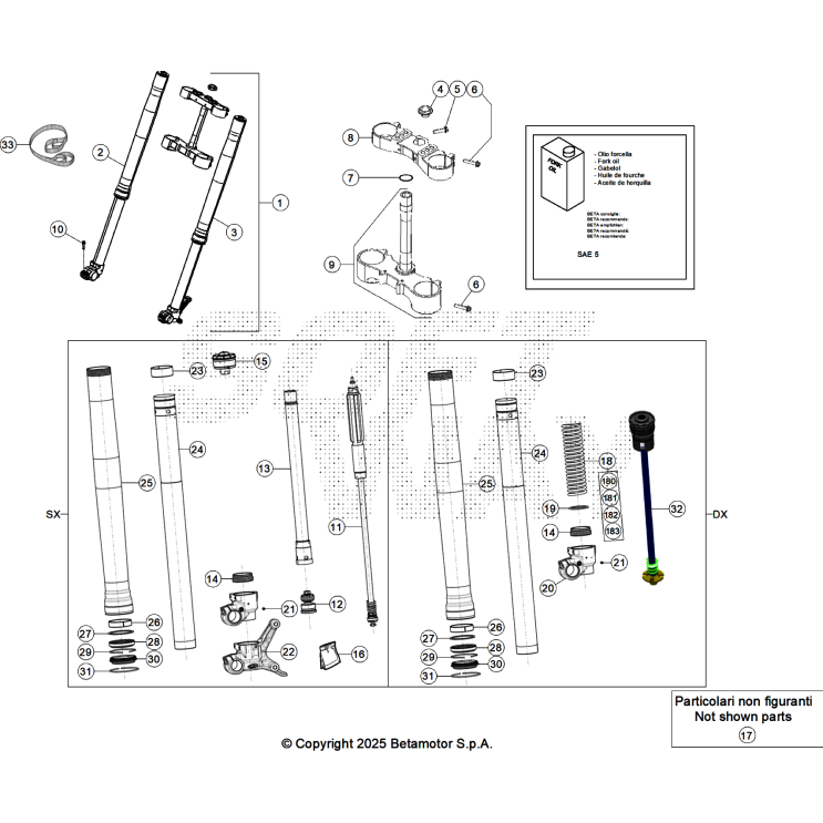 FOURCHE BETA 125 X-RPO 2026