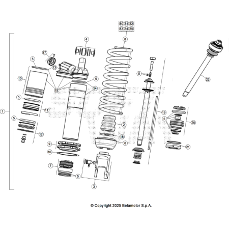 VUE ECLATEE AMORTISSEUR...