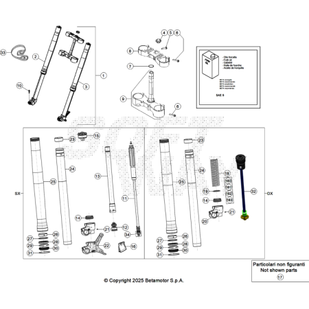 VUE ECLATEE FOURCHE BETA...