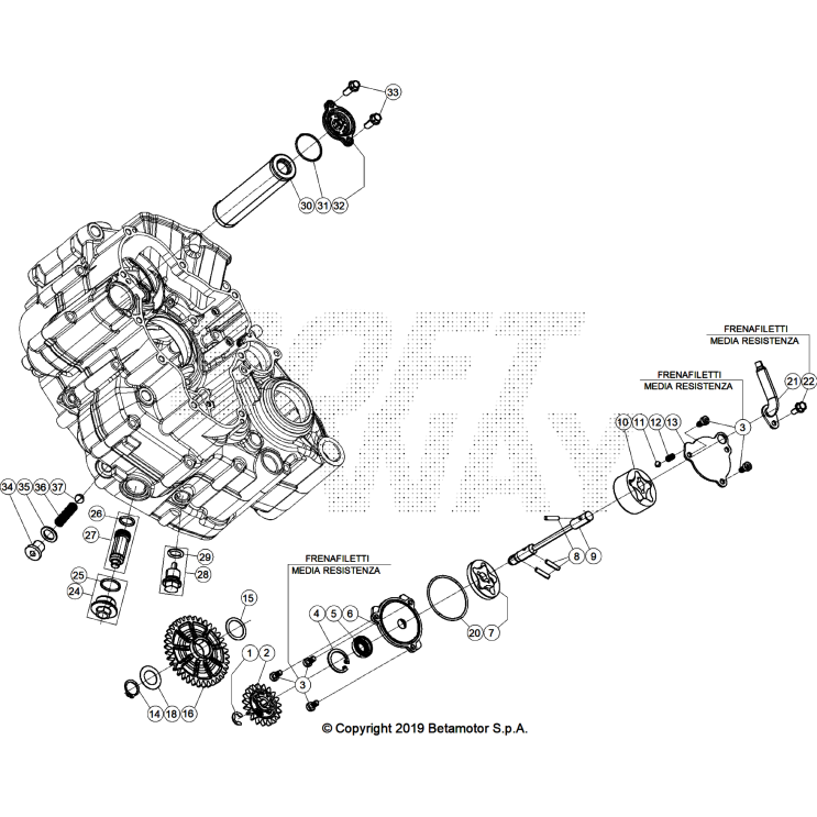 VUE ECLATEE CIRCUIT DE LUBRIFICATION BETA 480 X RPO 2026