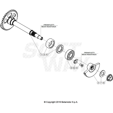 VUE ECLATEE ARBRE...