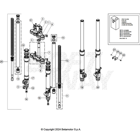 VUE ECLATEE FOURCHE BETA...