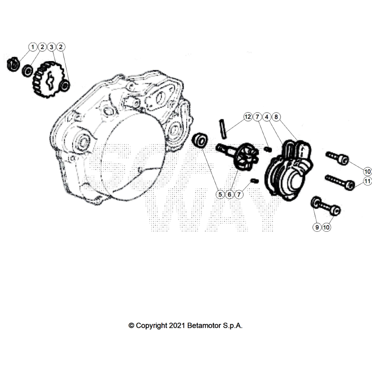 VUE ECLATEE POMPE A EAU BETA 50 RR RACE 2026
