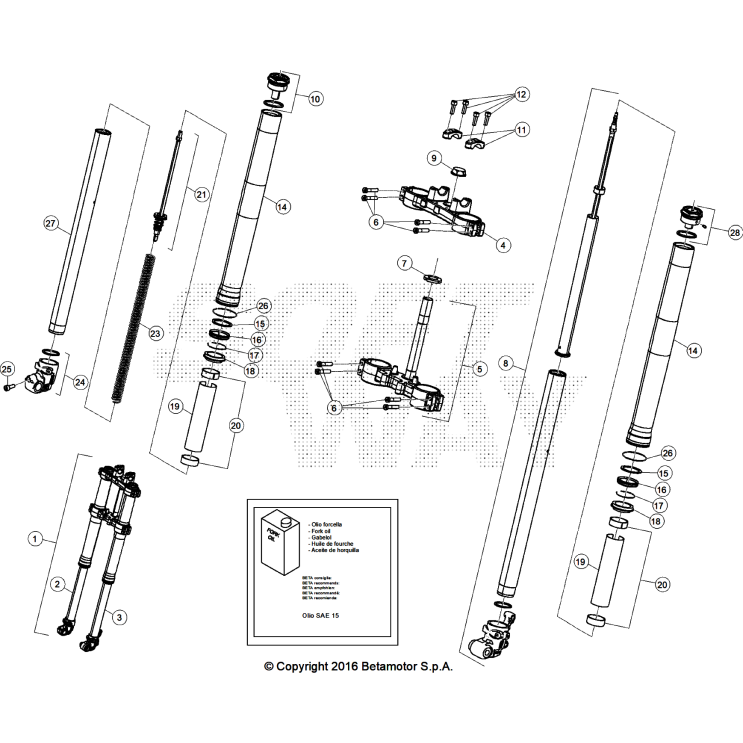 VUE ECLATEE FOURCHE BETA 50 RR RACE 2026